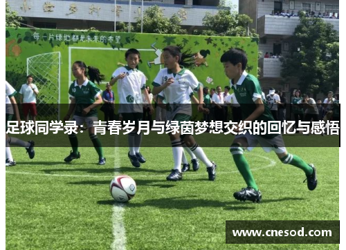 足球同学录：青春岁月与绿茵梦想交织的回忆与感悟